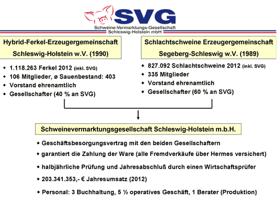 SVG-Organisationsstruktur